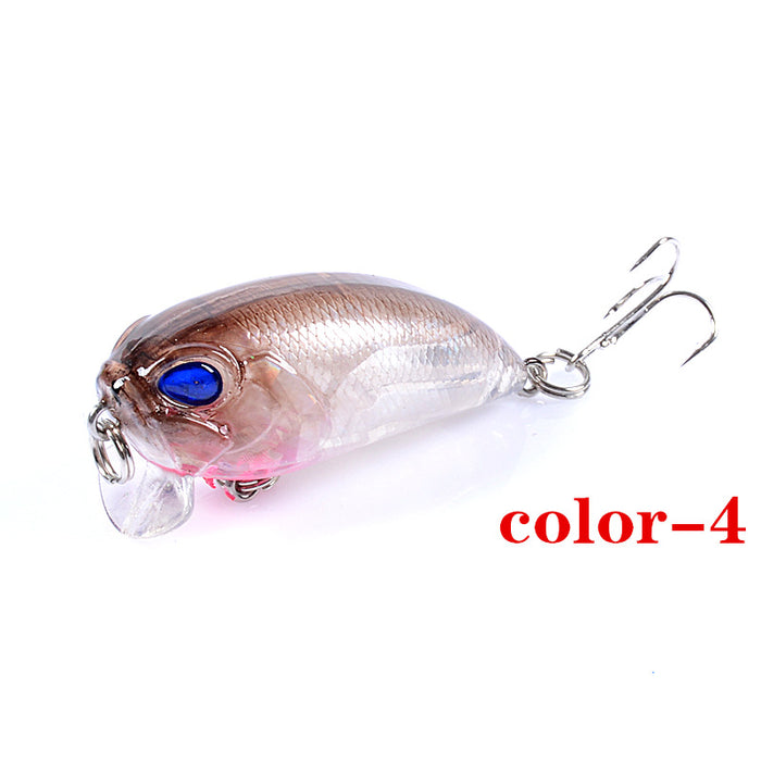 6x Popper Crank 5.1cm Fishing Lure Lures Surface Tackle Fresh Saltwater - Outbackers