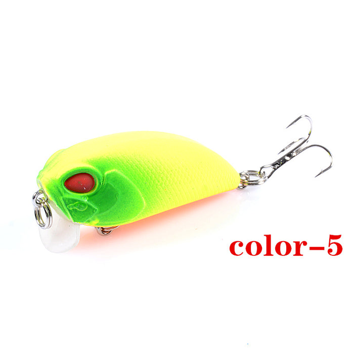 6x Popper Crank 5.1cm Fishing Lure Lures Surface Tackle Fresh Saltwater - Outbackers