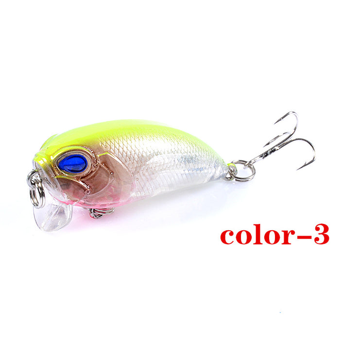 6x Popper Crank 5.1cm Fishing Lure Lures Surface Tackle Fresh Saltwater - Outbackers