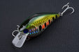 6x 8cm Popper Crank Bait Fishing Lure Lures Surface Tackle Saltwater - Outbackers