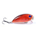 6x Popper Poppers 5.1cm Fishing Lure Lures Surface Tackle Fresh Saltwater - Outbackers