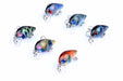 6x 3cm Popper Crank Bait Fishing Lure Lures Surface Tackle Saltwater - Outbackers